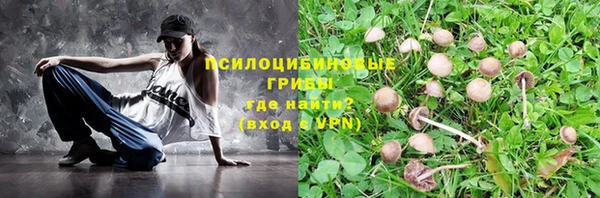 прущие крисы Карабаш