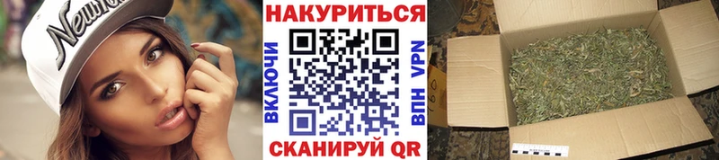 Бошки марихуана сатива  купить наркоту  Мариинский Посад 